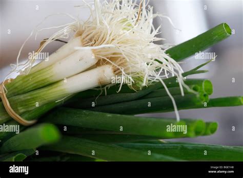 Spring Onion Scallions Green Onions Stock Photo Alamy