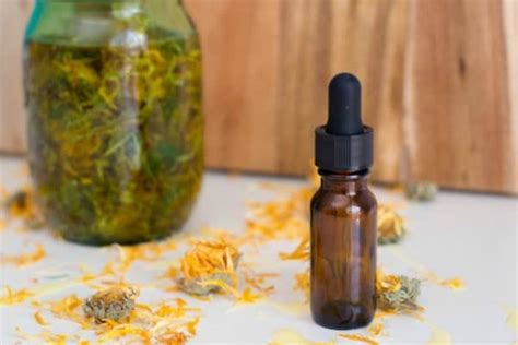 Learn To Make Calendula Oil 12 Ways To Use It The Nourished Life