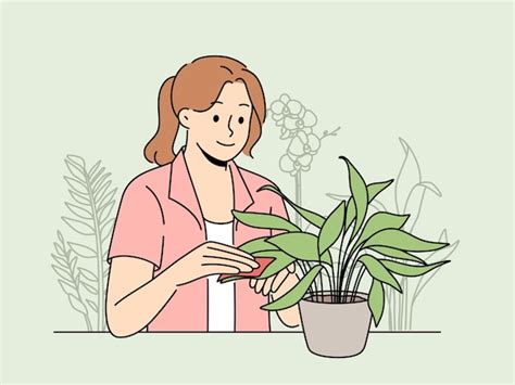 Premium Vector Happy Woman Clean Leaves Of Houseplant