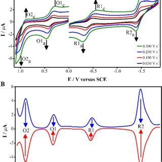 A Cvs Of Nipc M Recorded At Various Scan Rates