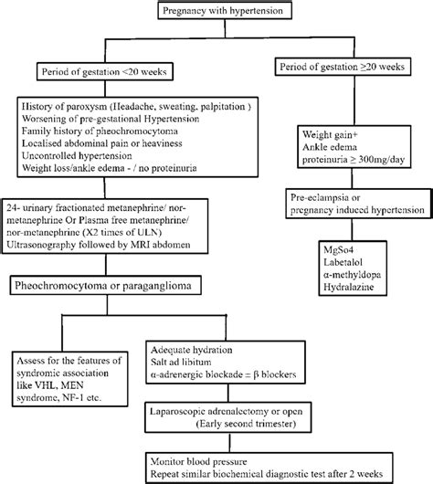 Flow Diagram For The Diagnosis And Management Of Hypertension In Pregnancy Download Scientific