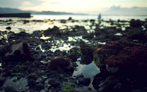 Wallpaper Sunlight Landscape Depth Of Field Sunset Sea Bay Rock