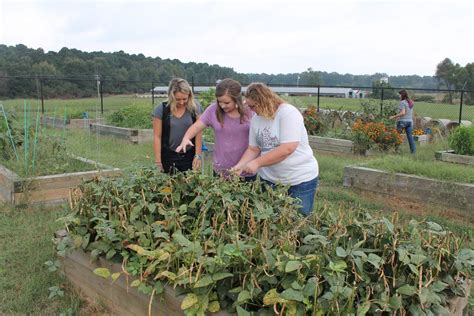 Agricultural Education Academics Southern Arkansas University