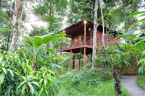 Eco Friendly Tree House In Kumily Lbb Chennai