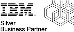 Ibm Silver Partner Blue Light LLC