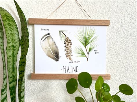 Maine State Flower State Tree State Bird Botanical Maine Art - Etsy