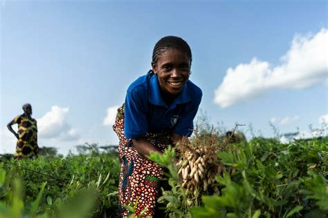 Comment Achieving Long Term Food Security In Drc Is All About Building