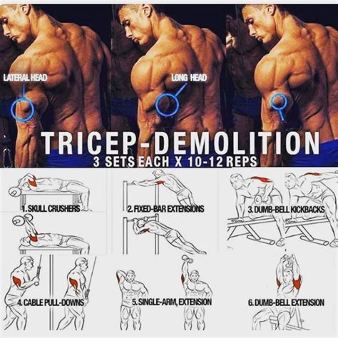 medial head tricep exercises - eshive