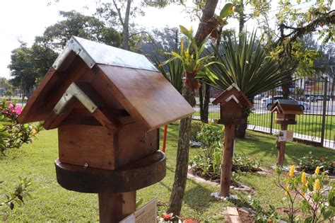 Ribeirão Pires inaugura mais um ponto para preservação de abelhas nativas