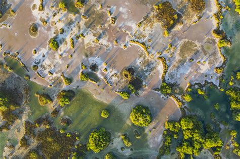 Qu Pasa Con Los Manglares De Tabasco M Xico National Geographic