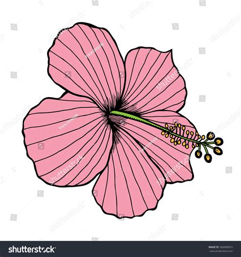 Retro Hibiscus Over Royalty Free Licensable Stock Vectors