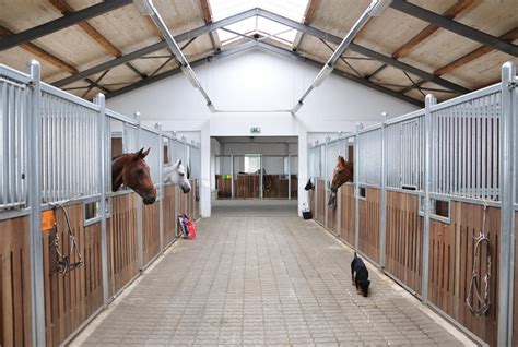 Horse Stables and Stalls ~ What’s The Difference? | EquiMed - Horse ...