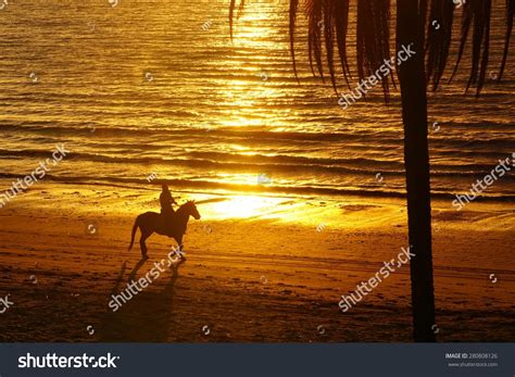 Horse Rider Silhouette At Sunset Beach Stock Photo 280808126 : Shutterstock