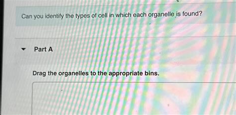 Solved Can you identify the types of cell in which each | Chegg.com