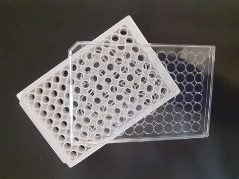 Poly D Lysine Coated 96 Well Plates Biomat Tissue Culture Plates