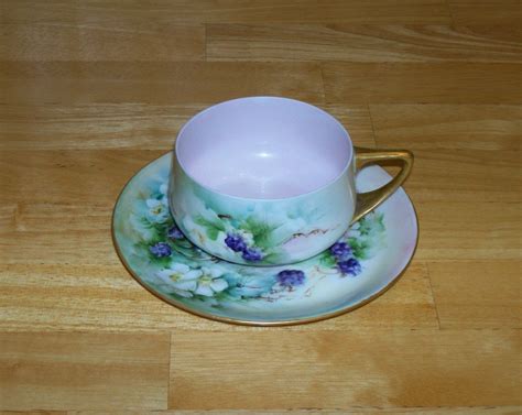 Vintage Cup And Saucer Rosenthal Selb Bavaria Donatello Berries Pink