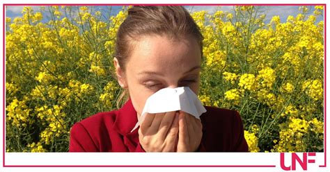 Le Allergie Di Primavera Le Principali Cause Come Prevenirle E I