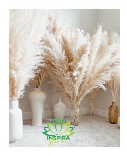 Kit Hastes Plumas Natural Decora O Capim Dos Pampas Luxo