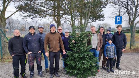 Kolpingsfamilie Kümmersbruck sammelt Christbäume für guten Zweck Onetz