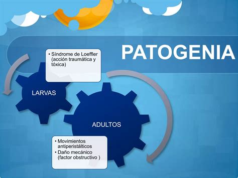 Sindrome De Loeffler Ppt