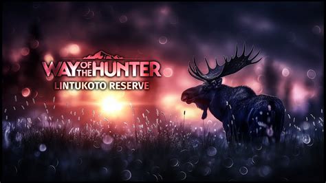 Lintukoto Reserve Dlc All About The 270 Way Of The Hunter Live 08