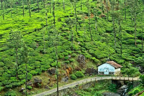 Wayanad Travel Guide Places To Visit In Wayanad In 2 Days Blog 2021