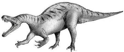 Suchomimus Baryonyx Coloring Page I Read Somewhere That You Can Keep A