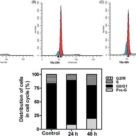 Effect Of Compound 16a On DNA Ploidy Flow Cytometric Analysis Of