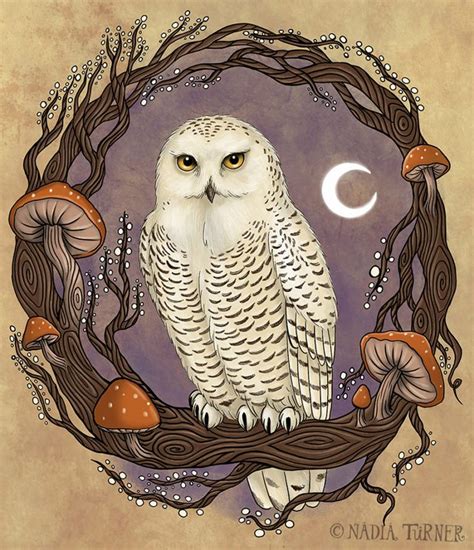 Illustration And Commissions Spirit Animal Art Owl Artwork