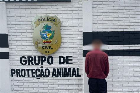 Dono de casa noturna é preso em Goiânia por agredir cães e deixá los