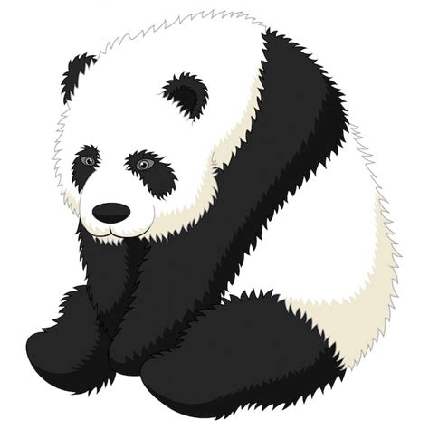 Dibujos Animados Gracioso Adulto Panda Gigante Sentado Vector Premium