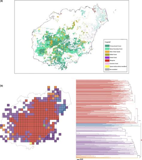 Spatial Phylogenetics Of The Native Woody Plant Species In Hainan