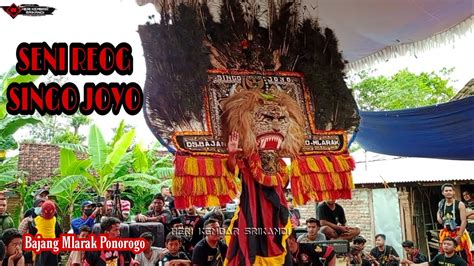 Pagelaran Seni Reog Singo Joyo Bajang Mlarak Ponorogo Youtube