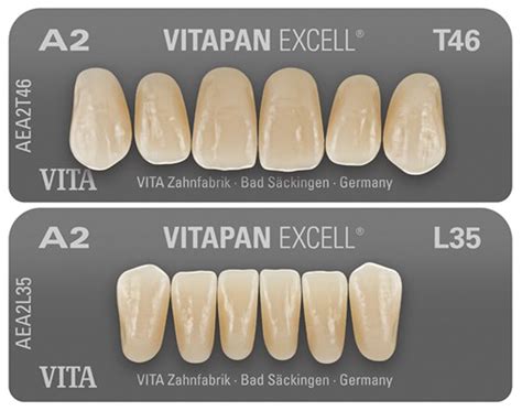 VITAPAN EXCELL ANTERIOR WHW