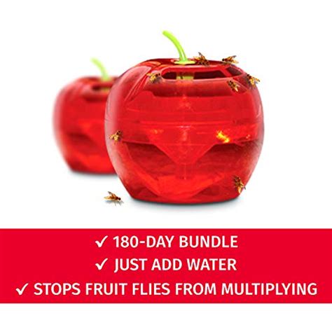 Fruit Fly Traps For Indoors By Raid 2 Lures 2 Refills Effective Fruit Fly Trap For Indoor