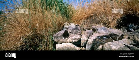 Cataracts on the Nile Aswan Egypt Stock Photo - Alamy