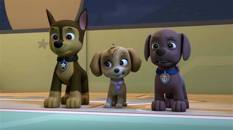 Watch PAW Patrol Season 5 Episode 6: PAW Patrol - Pups and the Werepuppy!/Pups Save a ...