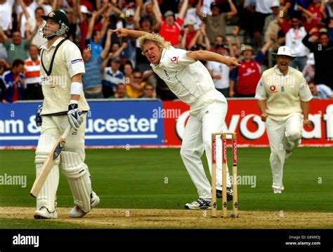 England S Matthew Hoggard Celebrates Taking Australia S Michael Clarke