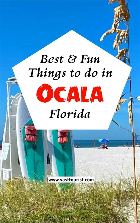 25 Best And Fun Things To Do In Ocala Florida Fun Things To Do Ocala