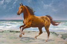 Chestnut Horse Painting (2) Free Stock Photo - Public Domain Pictures