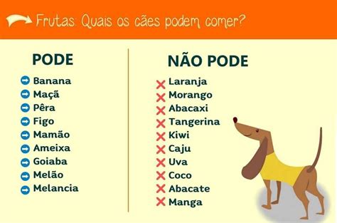 Frutas Quais Os C Es Podem Comer C Es De Estima O Treinamento