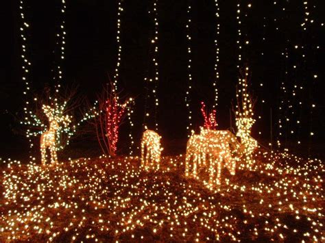 Discover Brookside Gardens' Christmas Lights Display