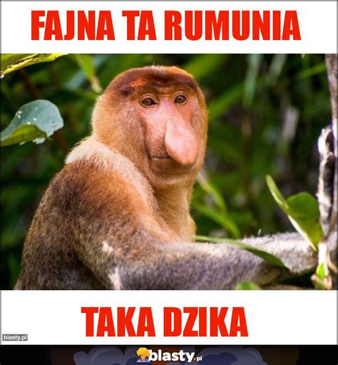 Fajna ta Rumunia memy gify i śmieszne obrazki facebook tapety