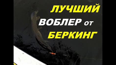 Лучший воблер от Беркинг - YouTube
