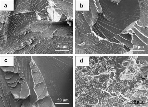 Cleavage Fracture Surfaces Of Bending Tested Samples A Fbb 3 B Download Scientific Diagram