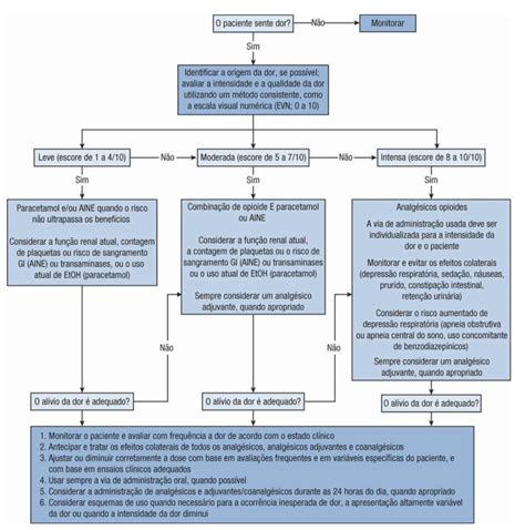 Farmacoterapia e Fisiopatologia da dor e inflamação