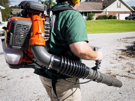 How Do Gas Leaf Blowers Compare To Electric Ones In Terms Of Power Leaf Blowers Review