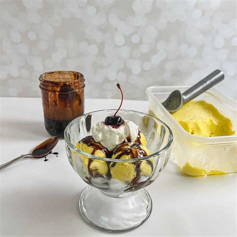 Cuisinart French Vanilla Ice Cream Recipe | Deporecipe.co