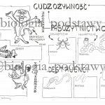 Klasa 5 Sposoby oddychania organizmów sketchnotka Złoty nauczyciel