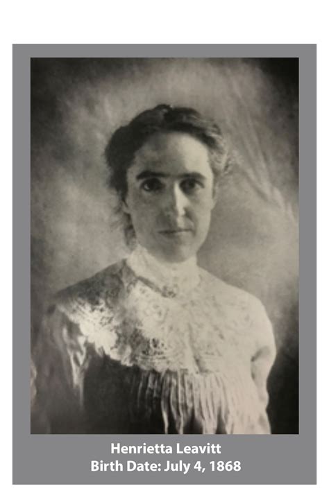 Роза Генриетта Фото И Описание – Telegraph